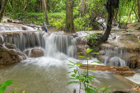 Waterfall and forest at Kanjanaburi, Thailand Aug 2016の写真素材