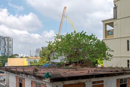Building and natural evolution in the town 2016の写真素材