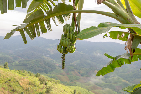 Natural Mountain Huai Nam Khun Village Chiang Rai, Thailand Sep 2016の写真素材