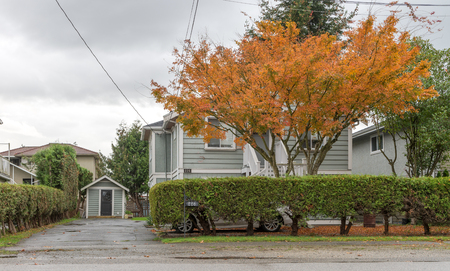 Natural during autumn in Vancouver Canada Oct 2016のeditorial素材