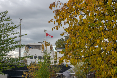Natural during autumn in Vancouver Canada Oct 2016の写真素材