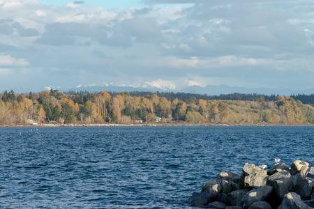Natural during autumn in Vancouver Canada Oct 2016の写真素材