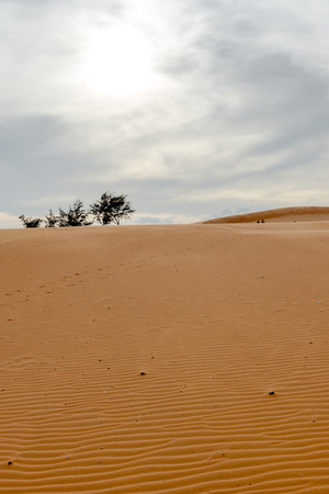 Sand dunes, Mui Ne South Vietnam Dec 2016の写真素材