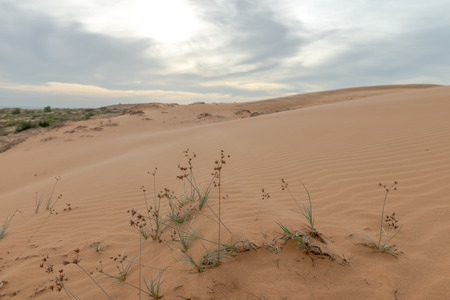 Sand dunes, Mui Ne South Vietnam Dec 2016の写真素材