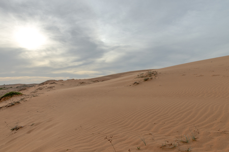 Sand dunes, Mui Ne South Vietnam Dec 2016の写真素材