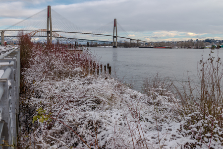 Snowing in a park near a bridge New Westminster, Vancouver Jan 2017の写真素材