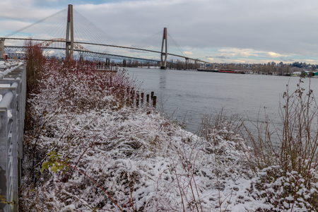 Snowing in a park near a bridge New Westminster, Vancouver Jan 2017の写真素材