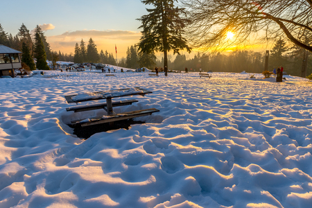 Burnaby Mountainâs before sunset, Vancouver Jan 2017.の写真素材