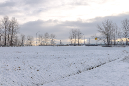 Natural during winter season in Vancouver Canada Dec 2016の写真素材