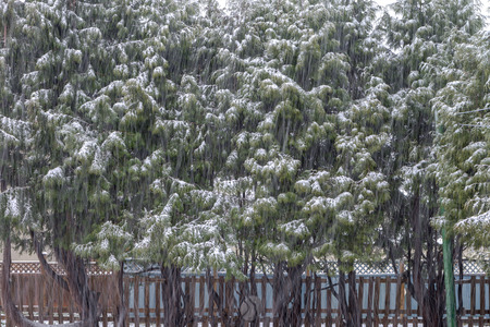 Snower cover wood stairs during winter, Canada.の写真素材