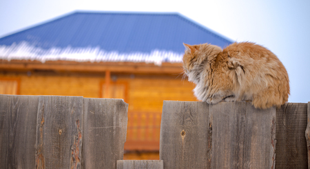 Khuzhir village near Lake Baikal, Russiaの写真素材