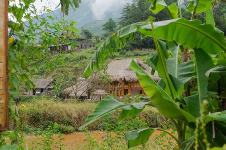 Natural Mountain rice filed, Vietnam 2017.の写真素材