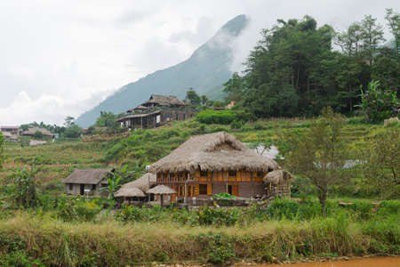 Natural Mountain rice filed, Vietnam 2017.の写真素材