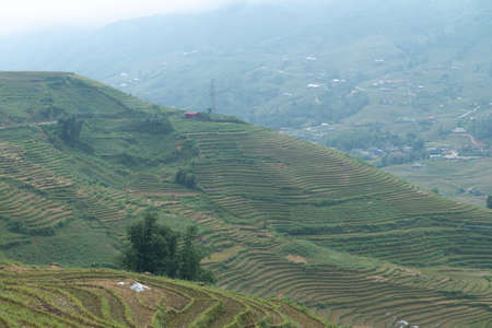 Natural Mountain rice filed, Vietnam 2017.の写真素材