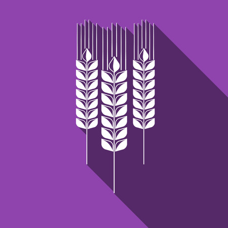 Wheat ear icon with long shadow. Vector Illustrationのイラスト素材