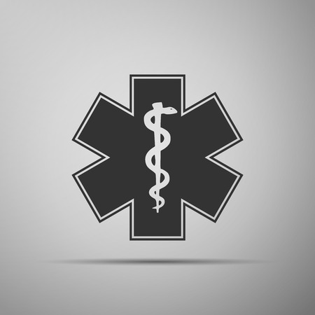 Medical symbol of the Emergency - Star of Life icon. Vector illustration.のイラスト素材