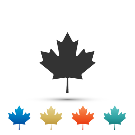 Canadian maple leaf icon isolated on white background. Canada symbol maple leaf. Set elements in colored icons. Flat design. Vector Illustrationのイラスト素材