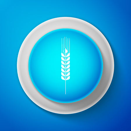Cereals icon set with rice, wheat, corn, oats, rye, barley sign isolated on blue background. Ears of wheat bread symbols. Agriculture wheat symbol. Circle blue button. Vector illustrationのイラスト素材