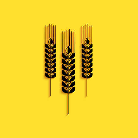 Black Cereals icon with rice, wheat, corn, oats, rye, barley icon isolated on yellow background. Ears of wheat bread symbols. Agriculture wheat. Long shadow style. Vectorのイラスト素材