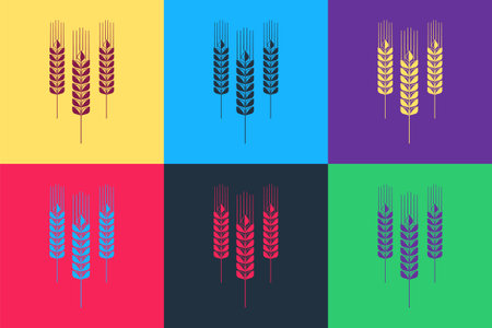 Pop art Cereals icon with rice, wheat, corn, oats, rye, barley icon isolated on color background. Ears of wheat bread symbols. Agriculture wheat. Vectorのイラスト素材