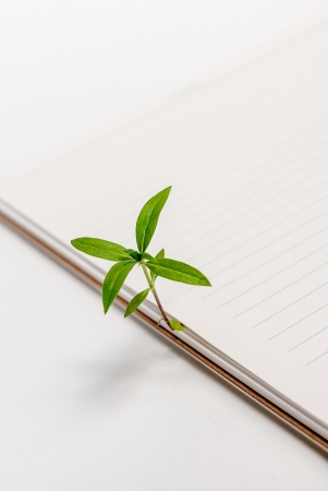 Eco Friendly Noteの写真素材