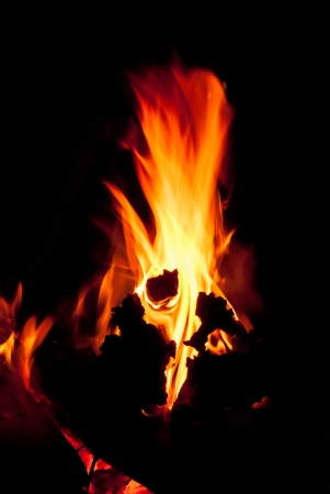 Fire flamesの写真素材