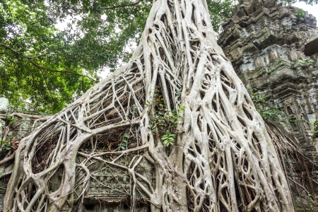 Ancient art, including magnificent castles. Created by Jayavarthon on 900 years ago is now a tourist attraction. And heritage of the world. In Cambodia.の写真素材