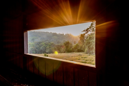 View at Kaoyai National Park, Thailand の写真素材