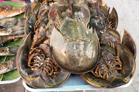Samutsongkhram, Thailand- January 4, 2014: Unknown seller who sells souvenirs, a traditional Thai at Amphawa Floating market, the most popular floating market in Thailand. のeditorial素材