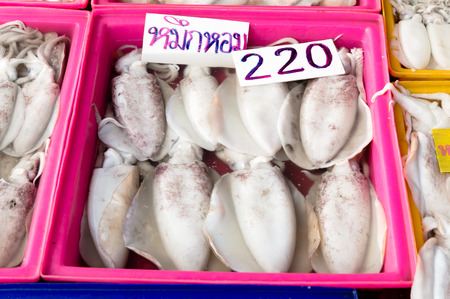 Raw octopus sold on the fish market の写真素材