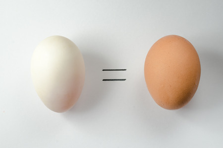 0=0 Eggs