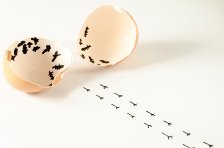 A broken egg and the chick footprints walking away の写真素材