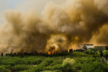 Forest fires in the city, causing a large flame and smoke in the air is very hot days  Firemen rush to help prevent the spread of fire to the village , In Thailand の写真素材