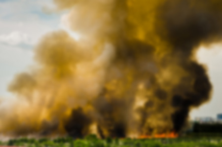 Blur effect of Forest fires in the city, causing a large flame and smoke in the air is very hot...