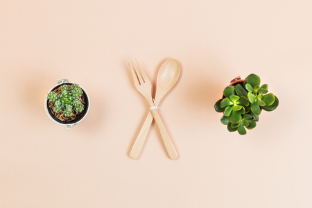 Flat lay of small cactus and cutlery with empty copy space for design work on yellow pastel color background.の写真素材