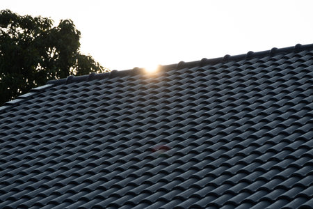 Sunrise over roof tiles residential area photography urban environment high angle tranquilityの写真素材