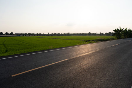 Serene sunset drive rural landscape photography open fields wide angle nature's beauty