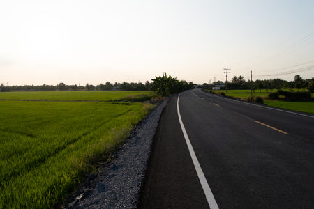 Scenic roadside view rural landscape photography open fields wide angle tranquilityの写真素材