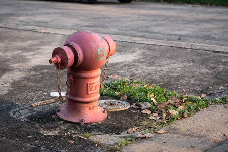 Fire hydrant maintenance activity urban street photography outdoor setting ground view public safety awarenessの写真素材