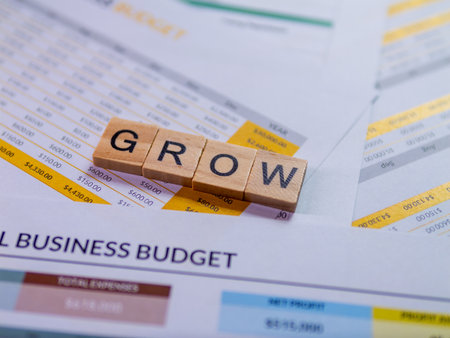Explore effective business growth strategies through detailed financial planning insights.の写真素材