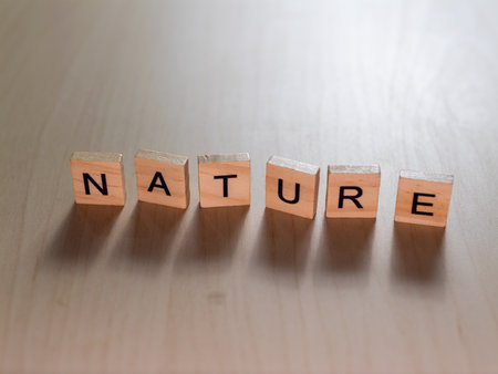 Wooden blocks spell NATURE showcasing creativity in a minimalistic indoor environment.の写真素材