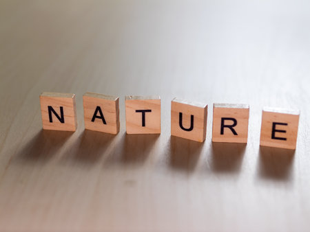 Explore a creative workshop showcasing wooden letters that spell NATURE in a minimalist indoor setting.の写真素材