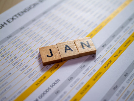 Explore January's budget insights with a detailed financial report overview for effective planning.