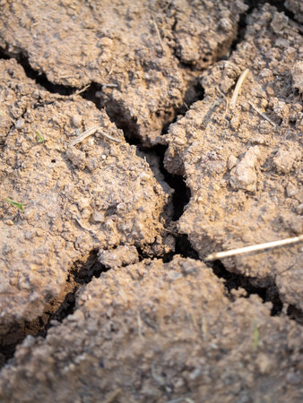 This image showcases the severe cracks in drought-stricken agricultural soil.の写真素材