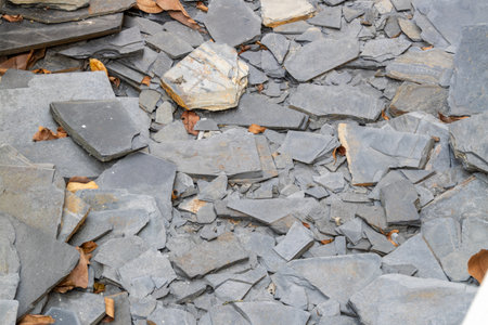 A detailed view of fragmented slate stones showcasing natural textures and organic elements an outdoor setting.の写真素材
