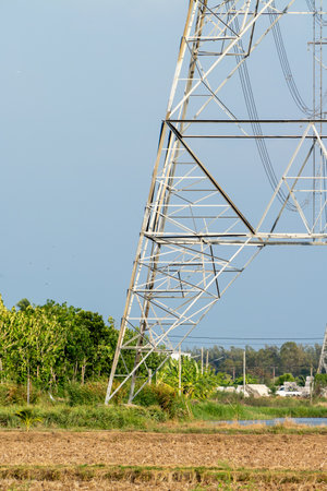 A power transmission tower stands tall amidst lush greenery in a serene rural environment.の写真素材