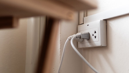 A close-up of an electrical outlet showcasing the power supply in a home setting.