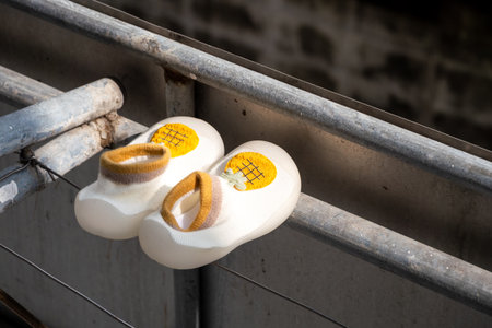 A pair of clogs left behind in an industrial area evoking a sense of nostalgia and abandonment.の写真素材