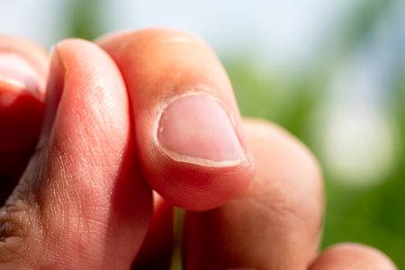 A detailed close-up of a hand gently touching lush greenery symbolizing connection with nature.の写真素材