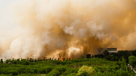A wildfire rages through a forest creating a thick smoke cloud and endangering local wildlife.